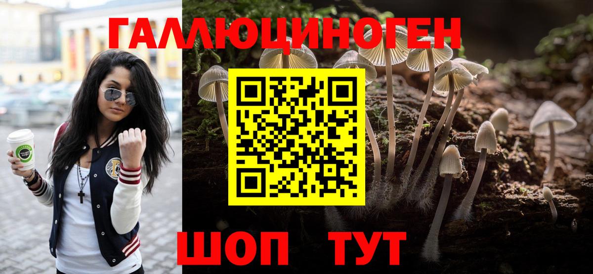 купить наркотики цена  Вход с VPN  Белгород  Псилоцибиновые грибы прущие грибы 